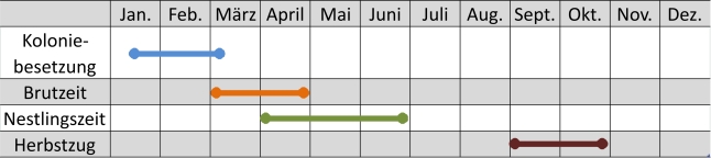 Liniendiagramm der Aktivitäten des Graureihers im Jahresverlauf